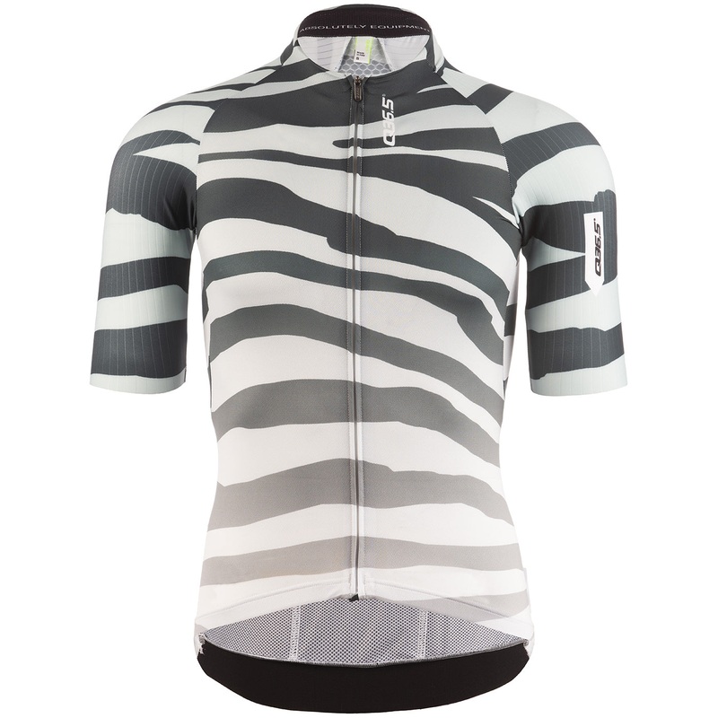 Maglia Q36.5 R2 Tiger - Grigio